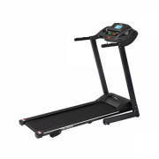 Беговая дорожка Family TM 300M